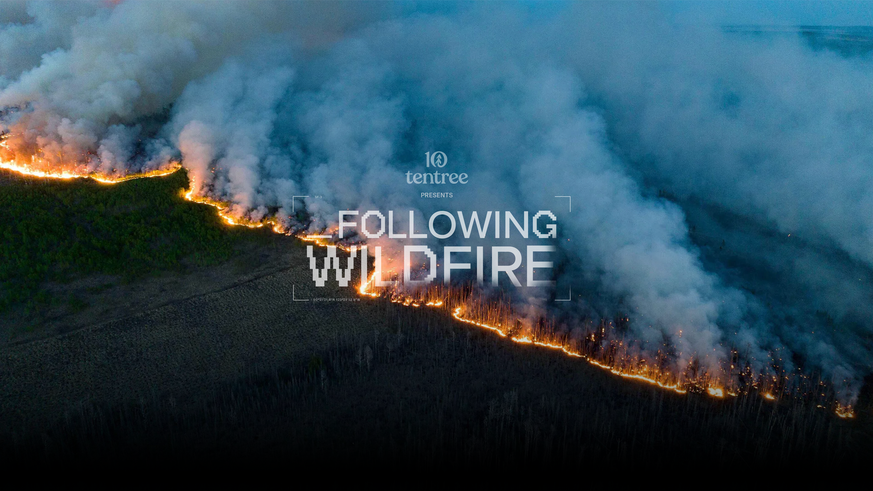 Following Wildfire Hero Image